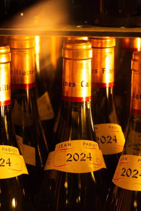 Pouilly-Fumé-Flaschen mit goldenen Kapseln, dicht an dicht im warmen Licht